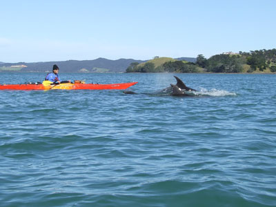 Parua Bay - McLeod Bay