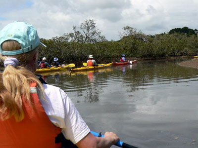 Pataua Estuary